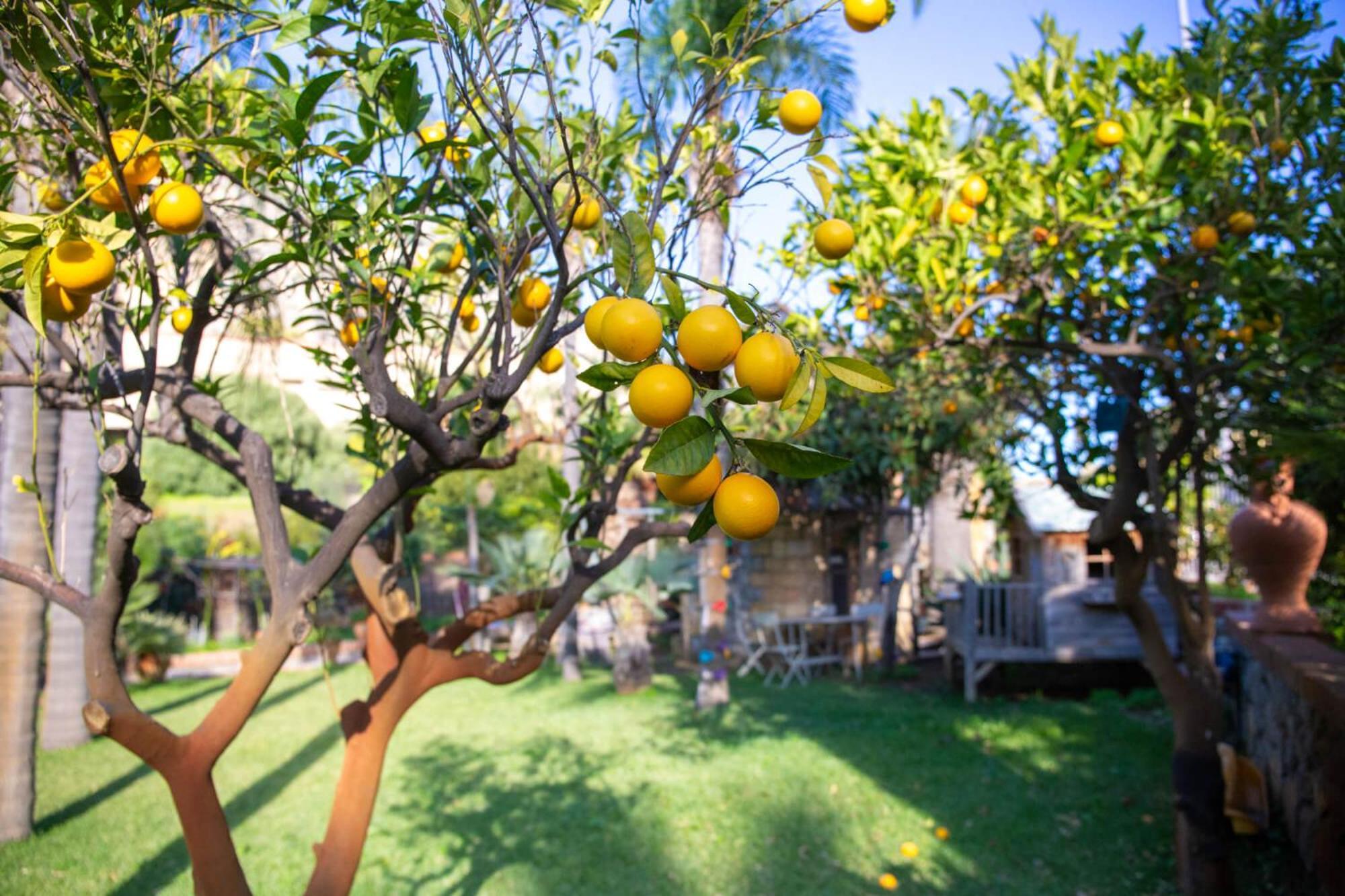 Villa Caterina - Solemar Sicilia Cefalù Buitenkant foto